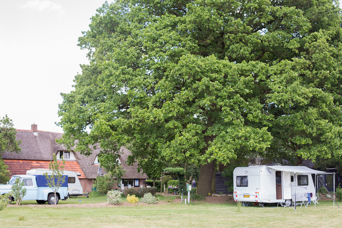 natuurcamping